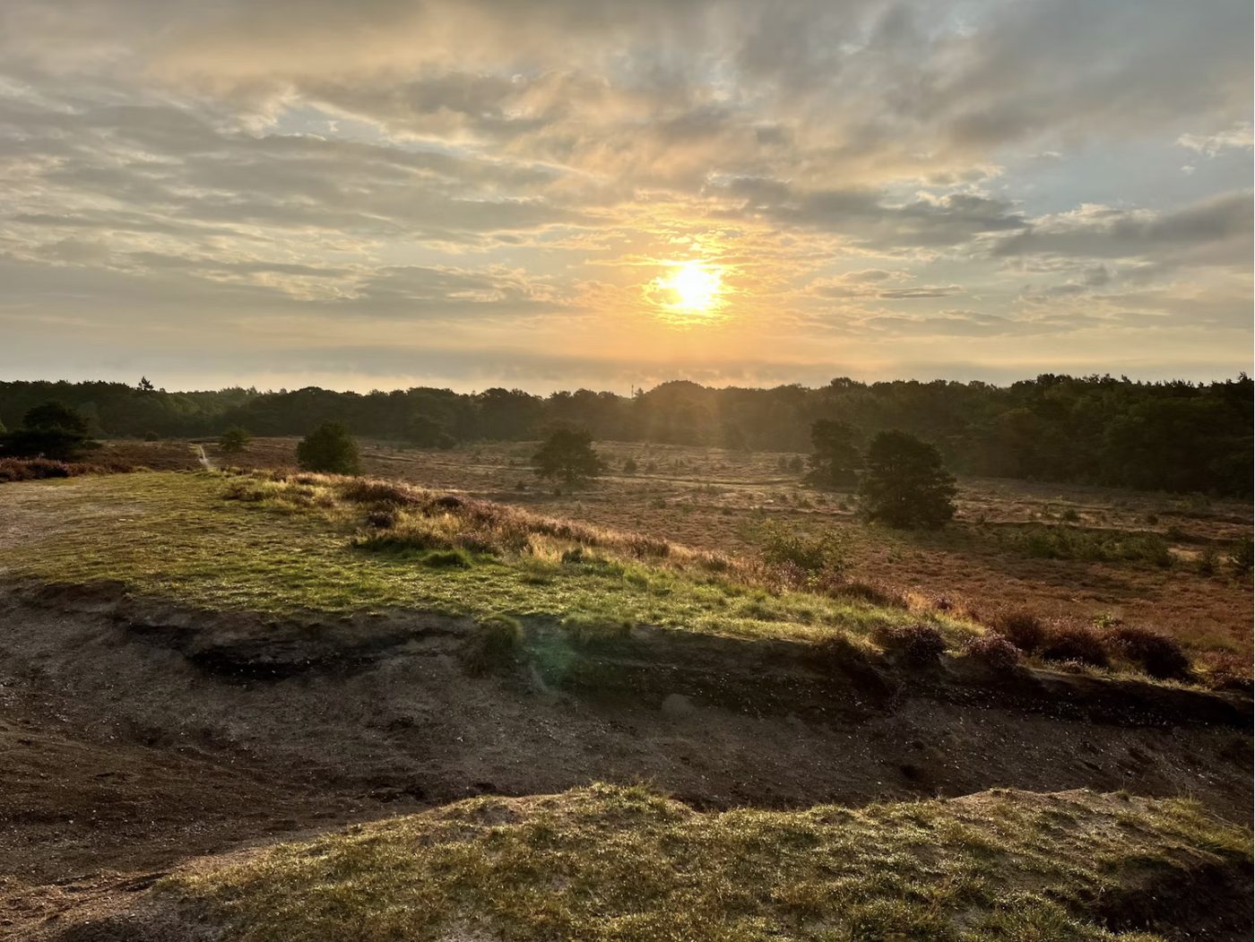 Zonsopkomst boven de heide van de Veluwe