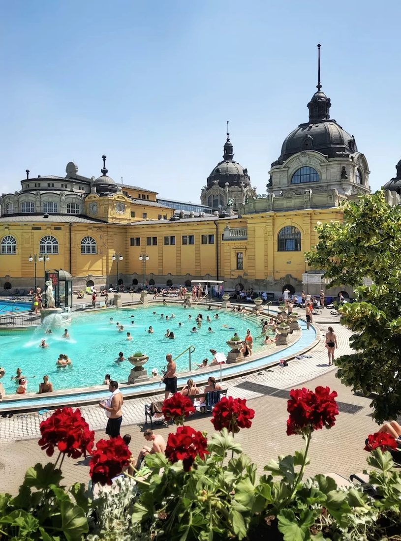 Outdoor pools of the Széchenyi bathhouse in Budapest with bathers and red geraniums in the foreground